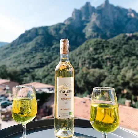 Le Vaita ホテル Porto (Corsica)