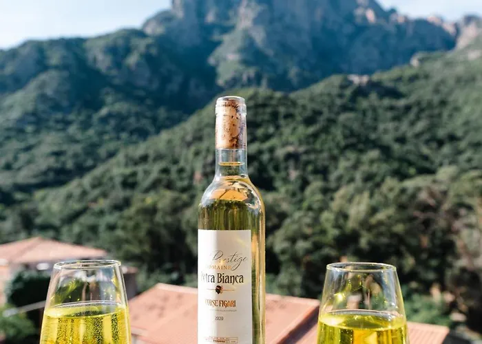 Le Vaita מלון 3*