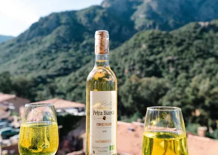 Le Vaita מלון Porto (Corsica)